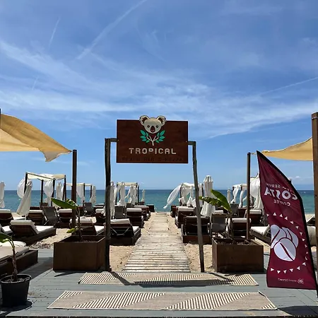 Tropical * Φλογητά